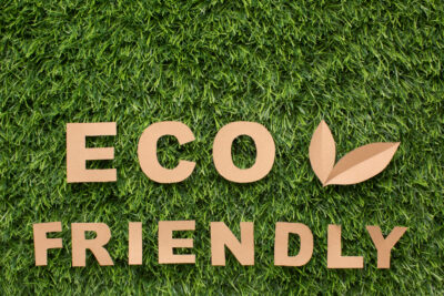Exploring the Benefits of Sustainable Ecological Products for Consumers and Businesses